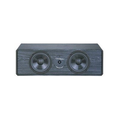 The Amazing BIC VENTURI Center Channel Speaker