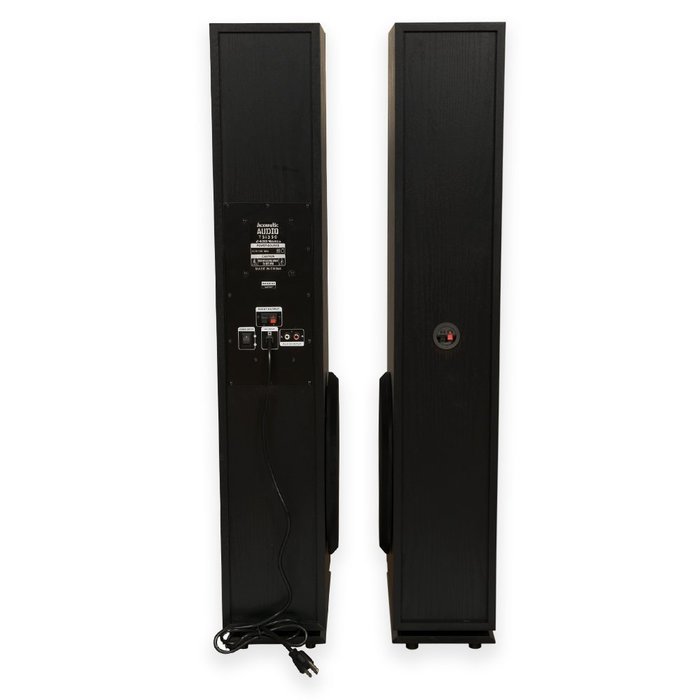 Acoustic Audio TSi350 Bluetooth Powered Floorstanding Tower Home Multimedia Speaker Pair and Mics TSi350M2 N2