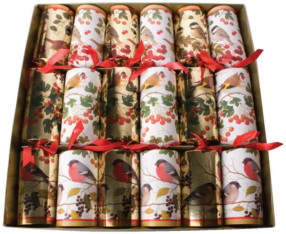 Caspari Celebration Crackers, 10-Inch, Snow Friends N9