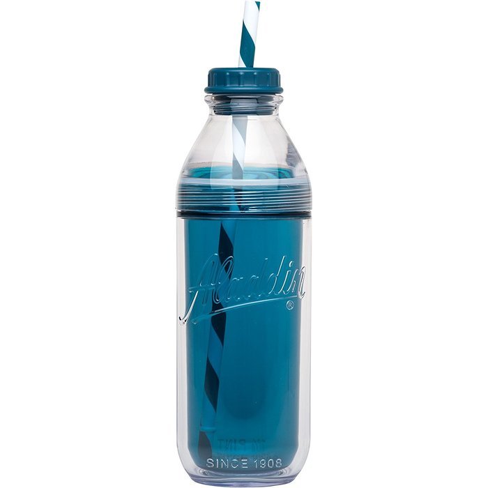 Aladdin Insulated Milk Bottle, 20 oz, Berry N10