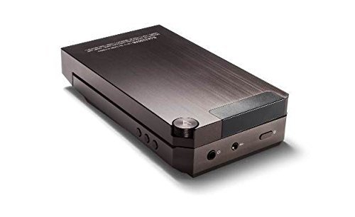 Astell&Kern AK300 Series Headphone Amplifer - Copper