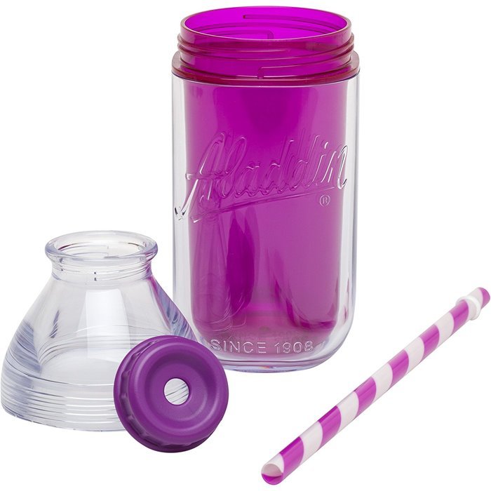 Aladdin Insulated Milk Bottle, 20 oz, Berry N15