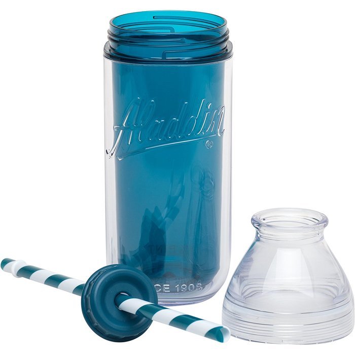 Aladdin Insulated Milk Bottle, 20 oz, Berry N16