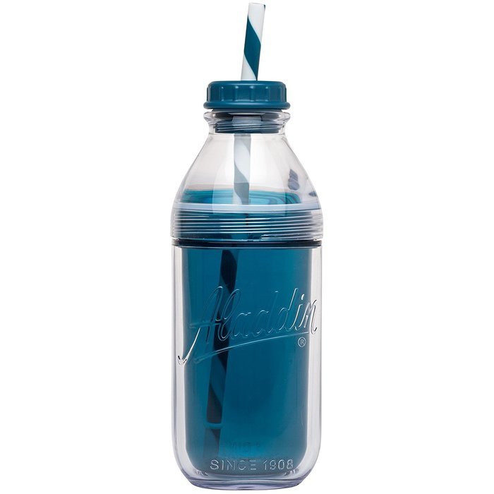 Aladdin Insulated Milk Bottle, 20 oz, Berry N18