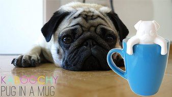 KABOOCHY Pug Life Silicone Tea Infuser, Cute Loose Leaf Tea strainer, White Color N6