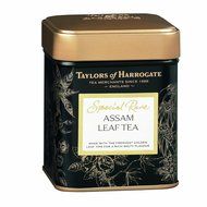 Taylors of Harrogate Classic Tea Variety Box, 48 Count N159
