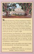 American Classic Pyramid Teabags, Charleston Breakfast, 12 Count N3