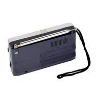 STree Mini Portable Pocket AM FM Radio Built-in Speaker with Telescopic Antenna, Silver N8