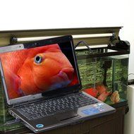 USB Endoscope Borescope Inspection 4 LED Waterproof Metal Camera 5M/16 Ft Cable N5