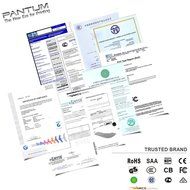 PANTUM P2502W Wireless Monochrome Laser Printer N7