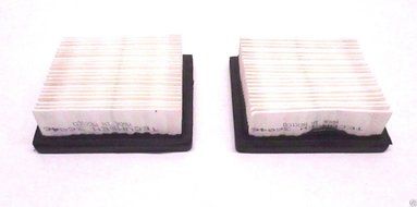 2 Pack Air Filters Replace Tecumseh Air Filter Number 36046