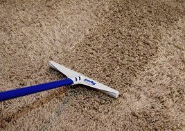 Groom Industries Perky Groomer Carpet Rake N6