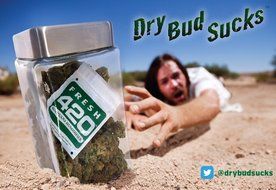 Fresh 420 Marijuana Humidifier (24 Pack) N2