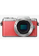 Panasonic Lumix G DMC-GF8 (Brown Body Only) (International Model) No Warranty N3