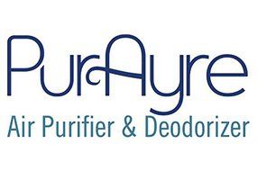 PURAYRE Ionic Air Purifier, Air Cleaner &amp; Air Sanitizer: 110 Volt USA Model N2