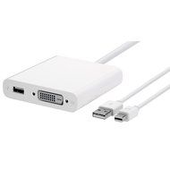 Apple Mini MB571Z/A DisplayPort to Dual-Link DVI Adapter