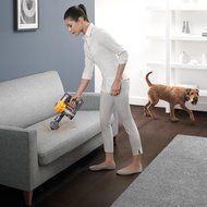 Dyson V6 Top Dog Handheld Vacuum - Cordless N3