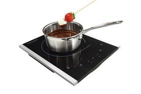Frigidaire Gallery FGIC13P3KS Portable Induction Burner N3
