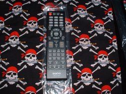 076R0SC011 Remote Control