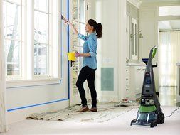 Bissell DeepClean Professional Pet Carpet Cleaner, 17N4P N6