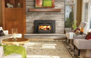 Napoleon EPI3T Wood Burning Traditional Fireplace Insert,Painted Black