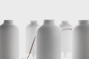 11+ Bottle Humidifier N5