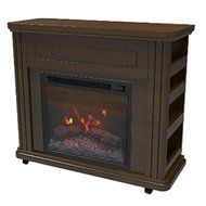 Denilib Rolling Transitional Library Fireplace