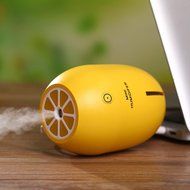 Leewa Portable USB Lemon Air Humidifier for Home and Car (Orange) N6