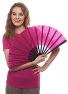 Chinese Nylon-Cloth Fan for Ladies (Black) N5