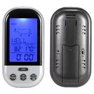 Hense Digital Precision Meat Thermometer for Cooking BBQ Grill,Oven Wireless Countdown Stainless Steel Probes... N18