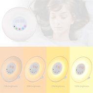 Seetru Wake-Up Sunrise Simulation Alarm Clock Night Light Bedside Mood Lamp with Nature Sounds, FM Radio and USB... N6