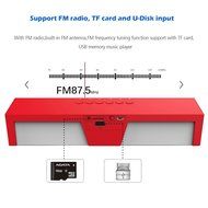 Portable Wireless Bluetooth Stereo Speaker with 2 X 5W Speaker Enhanced Bass Resonator, FM Radio, Built-in Mic... N14