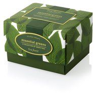 Tea Fort&eacute; Petite Presentation Box Sampler with 10 Handcrafted Pyramid Tea Infusers - Green Tea Assortment N3