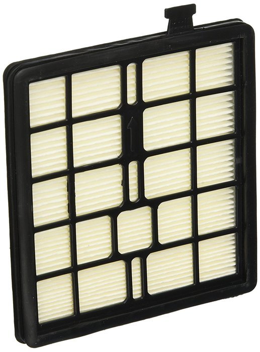 Royal Dirt Devil Filter, F45 Sd40000