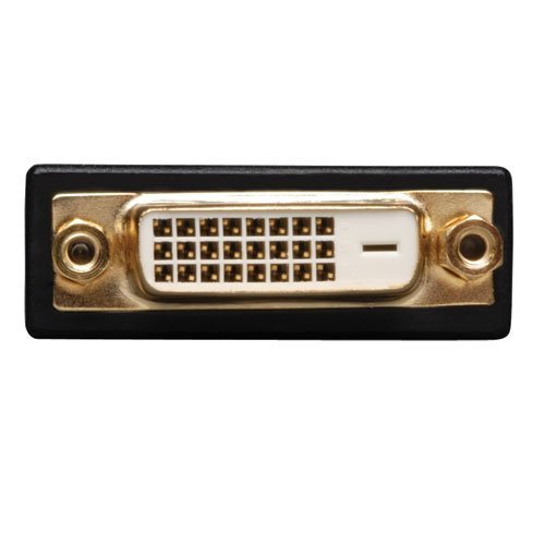 Tripp Lite 8-inch HDMI-M to DVI-D Cable Adapter (M/F), 8-in. (P132-08N) 8" HDDVI N5