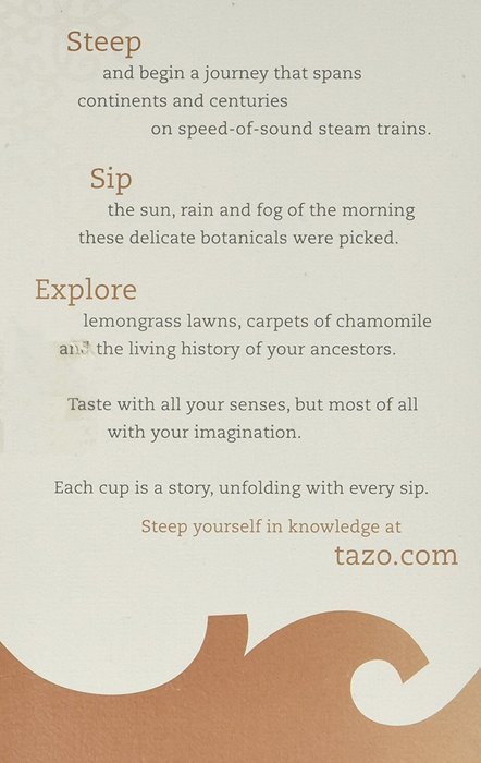 Tazo Cocoa Mint Mate Tea - 16 ct