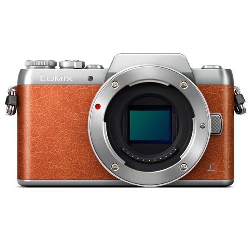Panasonic Lumix G DMC-GF8 (Brown Body Only) (International Model) No Warranty N4
