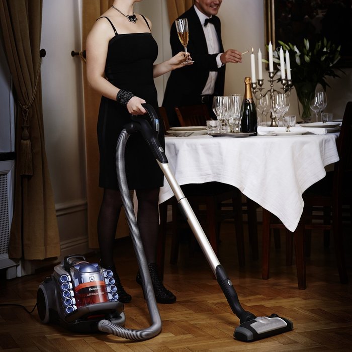 Electrolux UltraCaptic, Bagless Canister Vacuum EL4650A