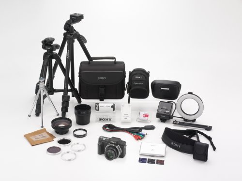 Sony Cyber-shot DSC-H3 8.1 MP Digital Camera with 10x Optical Zoom with Super SteadyShot Image Stabilization N8