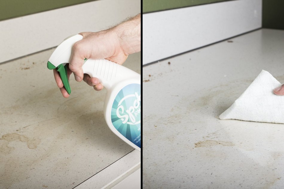 (2-Pack + Concentrate Refill) Scent Free Environmentally Safe All-Purpose Biodegradable Cleaner by SpotAway, Non-Toxic... N2