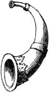Ram Horn drawing