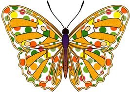 Orange And Yellow Butterflies drawing