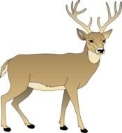 Baby Deer Clip Art N8
