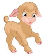 cute Lamb Clip Art drawing