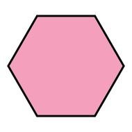 pink Hexagon in black outline
