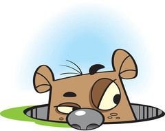 Clip art of Ground Hog Day