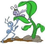Bugs Life