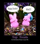 Funny Easter Bunny Quotes
