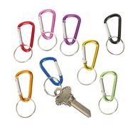 Mini Clip Key Chains