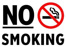 No Smoking Sign N8